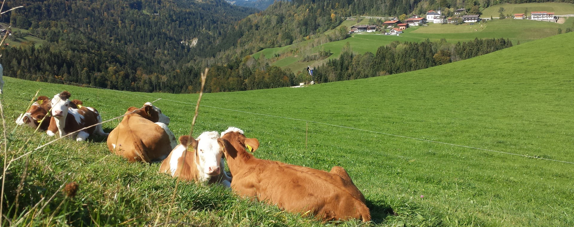 Oberbayern - BAYregio