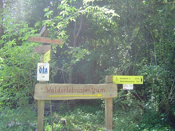 Wegweiser zum Walderlebniszentrum bei Grünwald