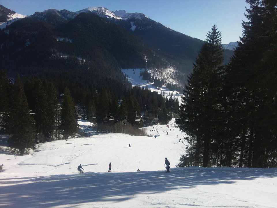 Piste hinab zum Spitzingsee auf der Ostseite des Stümpflings