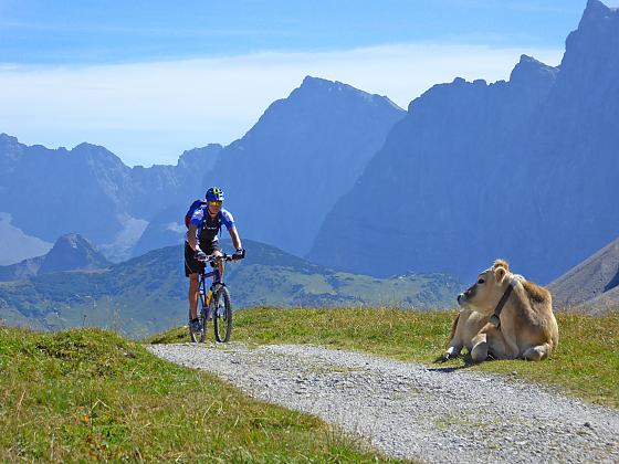 Alpenhof Krün - Umgebung / Ausflüge