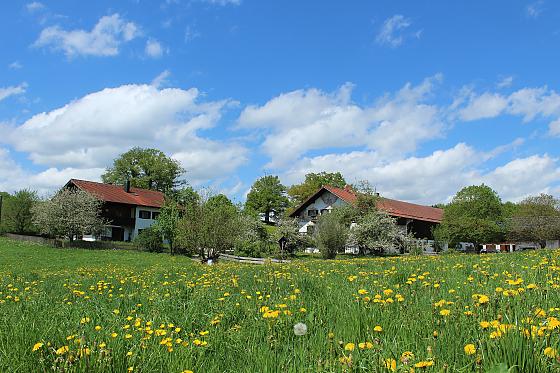 Ferienwohnung Kapellenblick