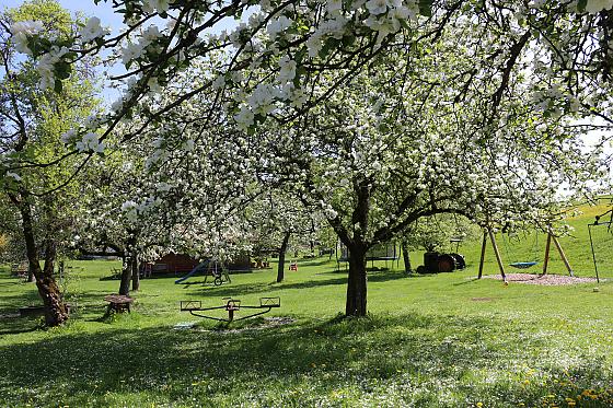 Waldhauser Hof - Wellness