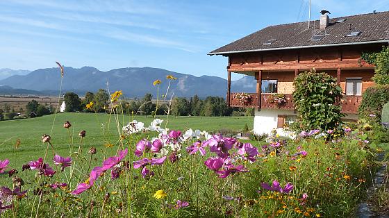 Georgihof Ferienwohnungen - Bilder