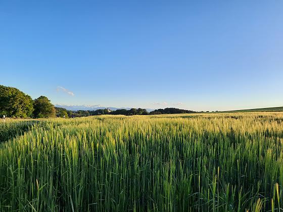 Ferienwohnungen Moarhof - Wohnen auf Zeit