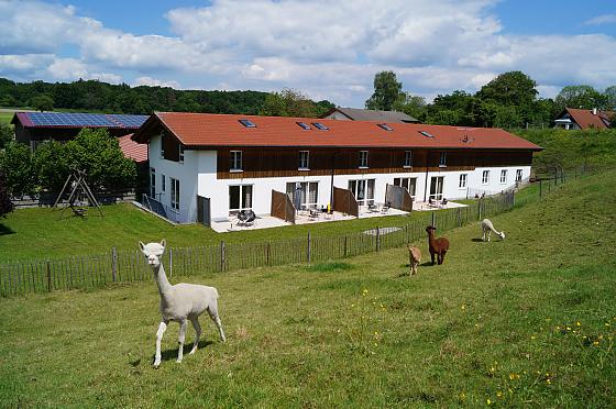 Ferienhof Grünsink - Bilder