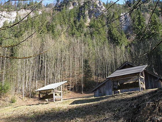 Ferienwohnung Bader - Umgebung / Ausflüge