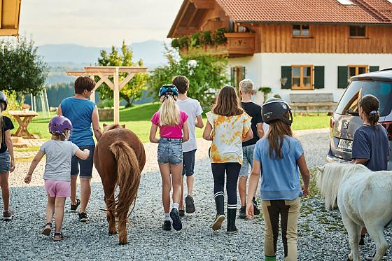 Ferienwohnungen Berghof Heger - Bilder
