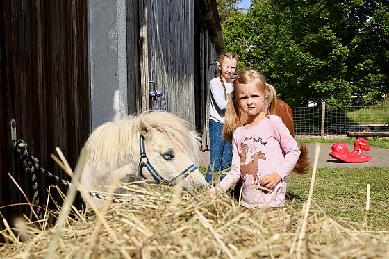 Ferienwohnungen Berghof Heger - Bilder