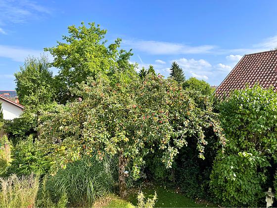 Loft und Garten-Maisonette am See - Wellness