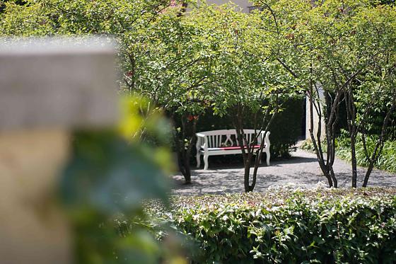 Hotel am Schlosspark Zum Kurfürst - Bilder