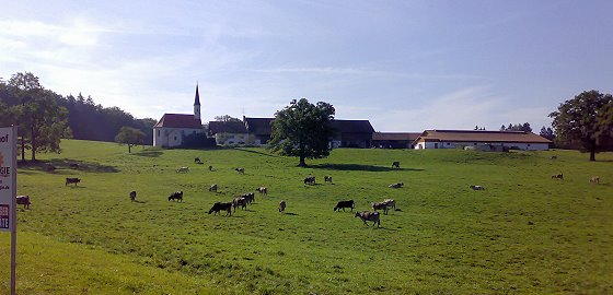 Münsing - Ambach