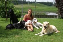 Hundeschule, Hundebetreuung, Tierphysiotherapie Luckydoggy - Bild 1