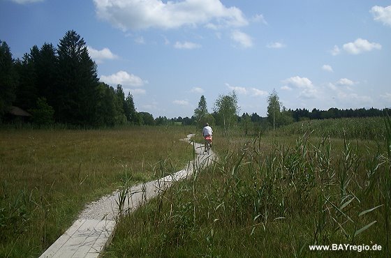 Über kleine Stege entlang des Staffelsee